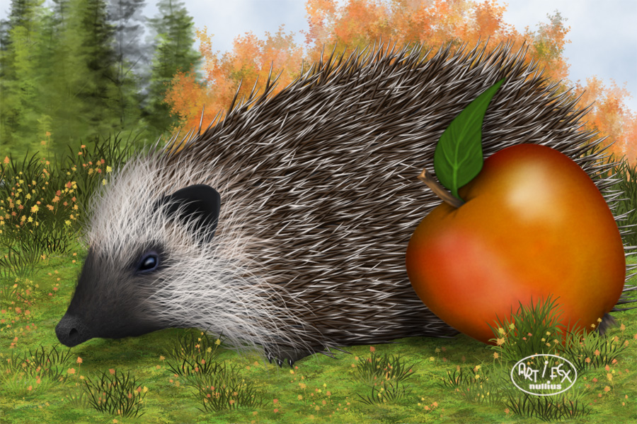 Igel