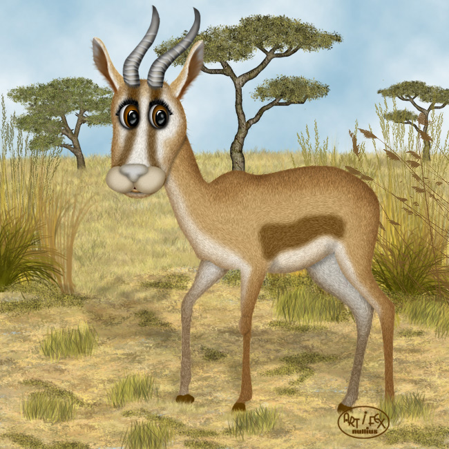 Springbock
