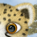 Gepard